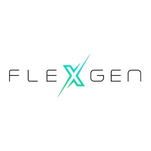 FlexGen